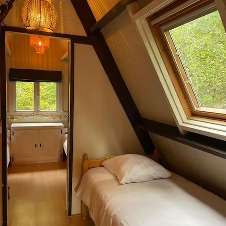 La Petite Ourse Durbuy - natuur chalet in het bos Extérieur photo