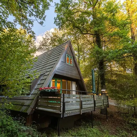 La Petite Ourse Durbuy - natuur chalet in het bos Extérieur photo
