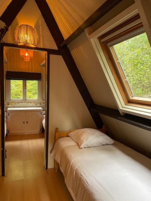 Hébergement de vacances La Petite Ourse - In Het Bos Durbuy