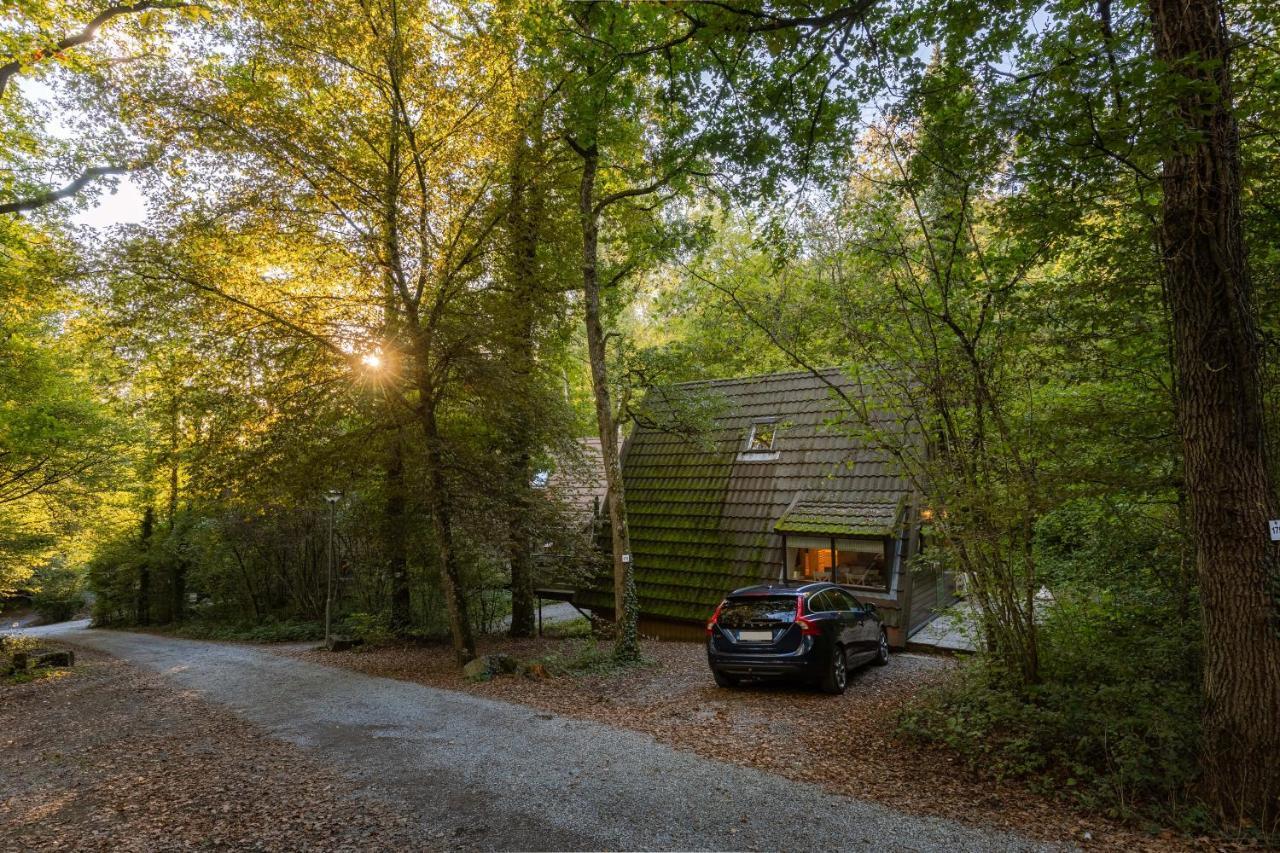 La Petite Ourse - In Het Bos